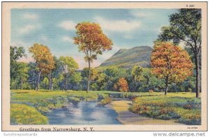 New York Greetings From Narrowsburg Curteich