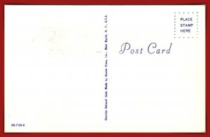 The Three MusCATeers - [MX-1086]