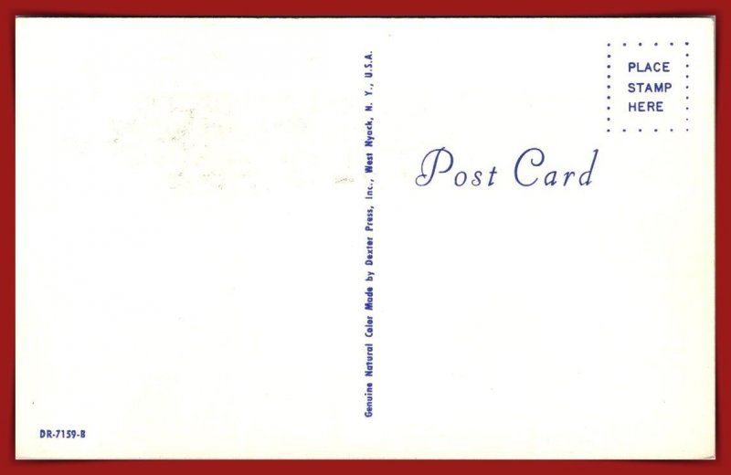 The Three MusCATeers - [MX-1086]