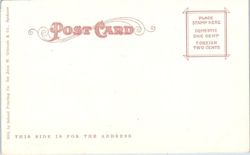 1900s Lower Falls Spokane Washington Undivided Back Postcard
