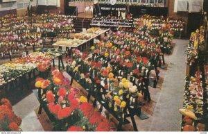 ARDMORE , Oklahoma , 1950-60s ; Men's Garden Club Annual Fall Show