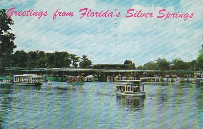 Florida Greetings From Silver Springs Boat Docks and Glass Bottom Boats 1960