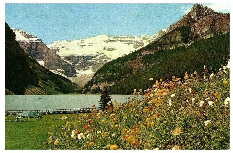 The Poppies, Lake Louise Canadian Rockies Victoria Glacier Postcard 1962 