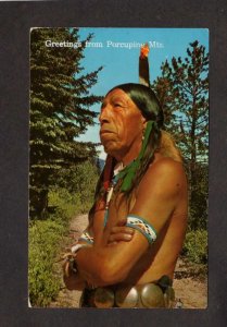 Porcupine Mts Mountains Michigan ?? Postcard Indian Native American