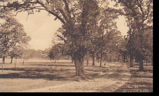 Wisconsin Fort Atkinson A Drive Thru City Park Albertype