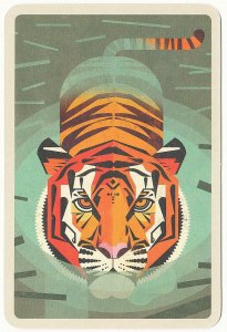 Bengal Tiger in Water by Dieter Braun Wild Animals of the World Art Postcard