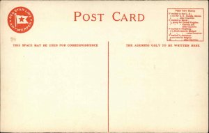 Red Star Line Steamships C-4Antwerp-New York c1910 Postcard