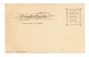 NY - Gloversville. Bleecker Street Square ca 1900