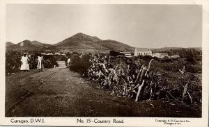 curacao, D.W.I., Country Road (1920s) Capriles  RPPC 15