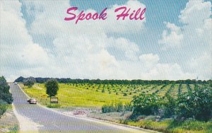 Florida Lake Wales Spook Hill