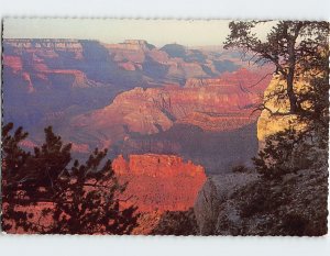 Postcard Late afternoon at the Grand Canyon of Arizona