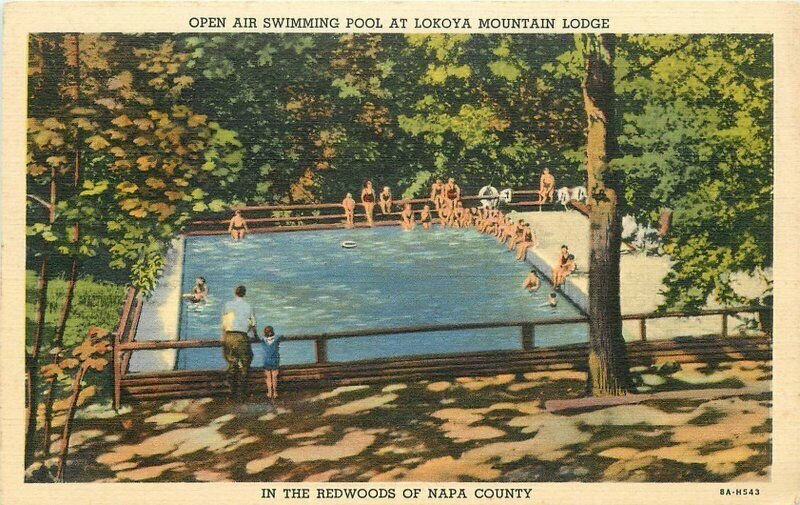 Napa California 1940s Swimming Pool Lokoya Lodge Redwoods Postcard 21-9622