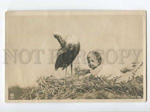 3071340 Baby Girl STORK Nest 1901 year PHOTO RPPC Dental School