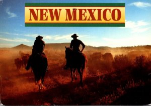 New Mexico Cattle Drive In The Land Of Enchantment