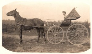 RPPC   Young Man in Horse and Buggy   Postcard
