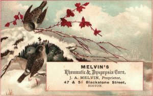 1880s-90s Bird Nesting Winter Rheumatic & Dyspepsia Cure J.A. Melvin Proprietor