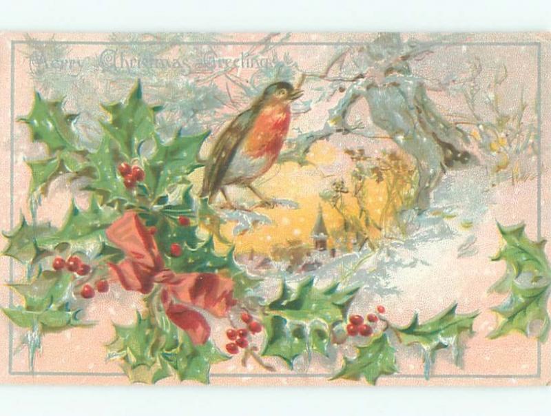 Divided-Back CHRISTMAS BIRDS SCENE Pretty Postcard W8498