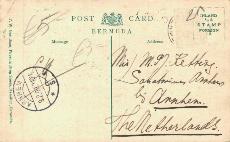 Bermuda Light and Shadow 06.96