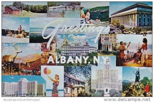New York Albany Greetings From Albany