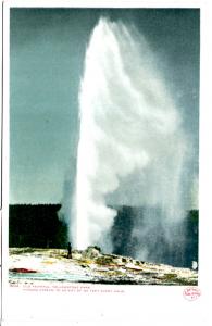 YELLOWSTONE, OLD FAITHFUL, DIVIDED BACK