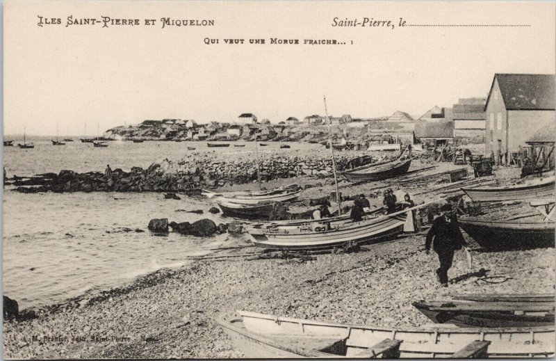 Iles Saint-Pierre et Miquelon Qui Veut Une Morue Fraiche Postcard E63