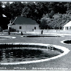 c1950s Backbone State Park, IA RPPC Rearing Pools Hatchery Real Photo PC A108