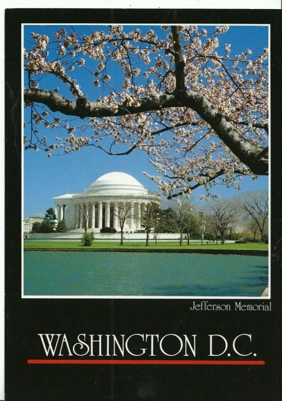 America Postcard - Jefferson Memorial - Washington D.C.  - Ref AB1388