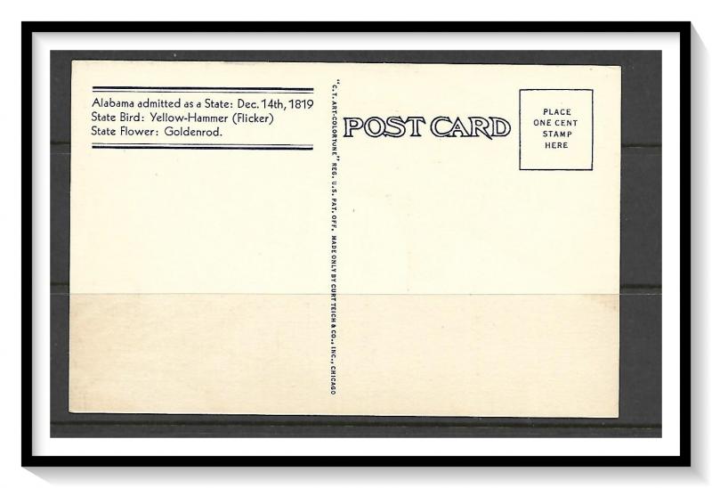 Alabama State Bird & Flower - [AL-008]