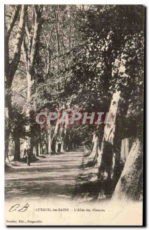 Old Postcard Luxeuil Les Bains L Allee des Platanes