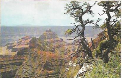 US Used post card - Grand Canyon, Arizona from Cape Royal