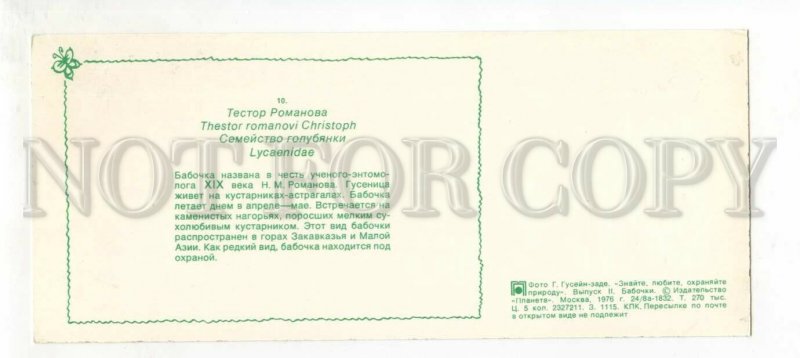 530613 USSR 1976 year butterfly testor romanov Old panoramic postcard