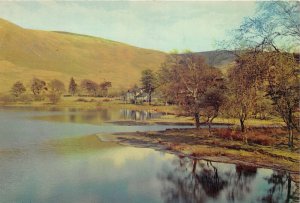 uk45648 tibbie shields inn selkirkshire  scotland  uk