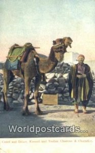Camel & Driver Chameau India Postcard