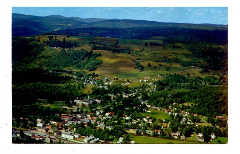 NY - Catskills, Livingston Manor Aerial View