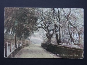 Isle of Wight SHANKLIN Chine Road c1904 Postcard by The National Series