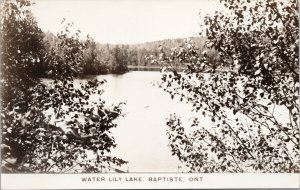 Water Lily Lake Baptiste Ontario ON Unused Real Photo Postcard F49