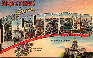 Illinois Greetings From Large Letter Linen 1943