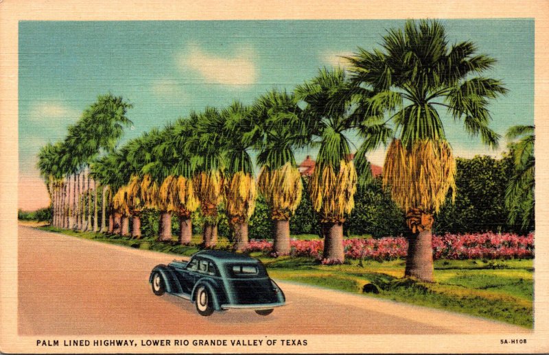 Texas Lower Rio Grande Valley Beautiful Palm Lined Highway Curteich