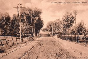 Easthampton MA Williston Avenue Postcard Massachusetts