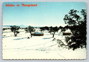 Hogan-styled Animal House Crownpoint New Mexico Area Mt Taylor 4x6 Postcard 1591