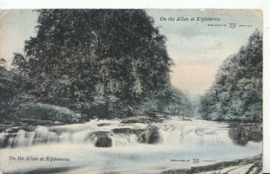 Scotland Postcard - On The Allan at Kippenross - Stirlingshire - Ref TZ1300