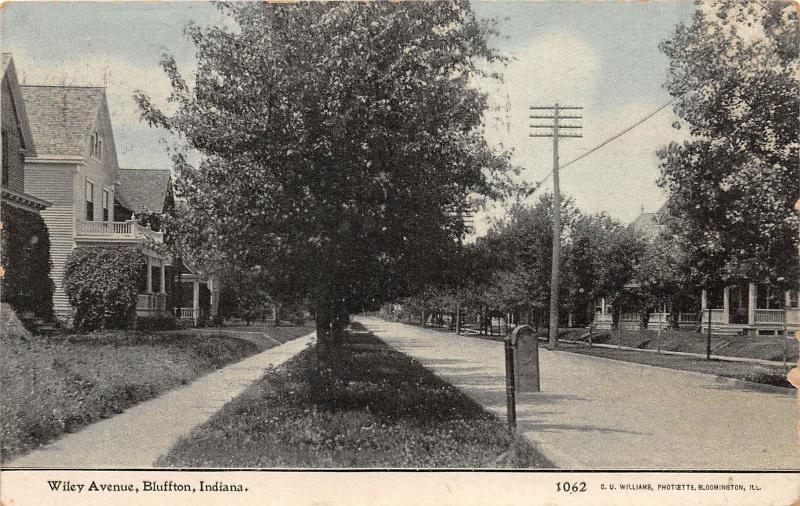 C85/ Bluffton Indiana In Postcard 1910 Wiley Avenue Homes