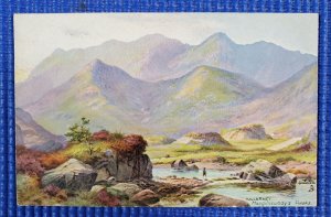 Vtg Killarney Series 7402 MacGillicuddy's Reeks Ireland Tuck's Oilette Postcard