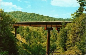 High Bridge Green River Saluda North Carolina NC Telephone Pole Sky Postcard UNP 