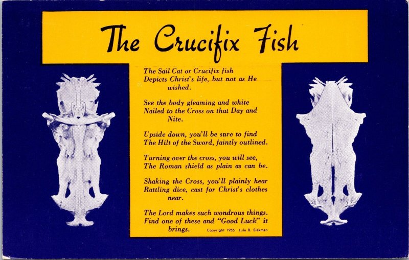 VINTAGE POSTCARD THE CRUCIFIX FISH SAIL CAT ST. PETERSBURG FLORIDA 1960s