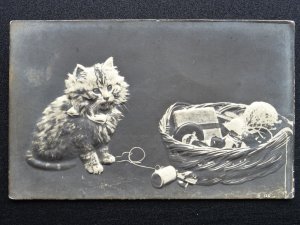 Cat & Kitten Theme KITTEN with RIBBON PLAYING c1905 BAS RELIEF Photo Postcard