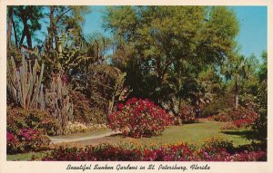 Sunken Gardens with Rare and Exotic Flowers - St Petersburg FL Florida - pm 1964