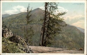 Yellowstone Park Wyoming WY Mt Washington  10768 Detroit Pub c1910 Postcard