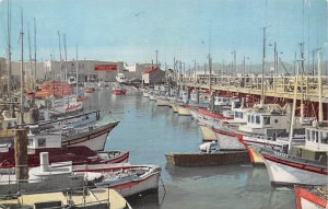 Little Italy Motor Boat & Yachts San Francisco, California USA Unused 