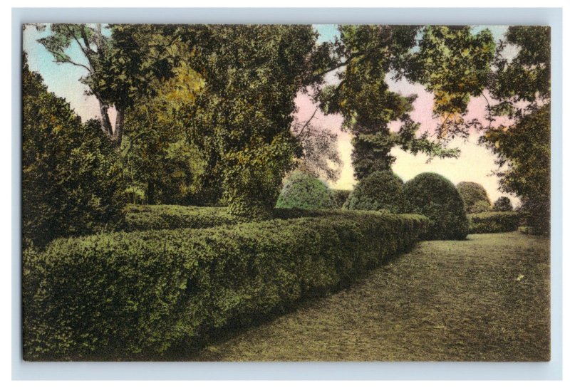 1920's-30's Ash Lawn Jefferson House Hand Tinted #3 Postcard F146E